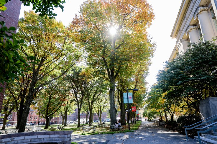 A photo of the Yard