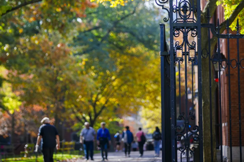 People walking in Harvard Yard