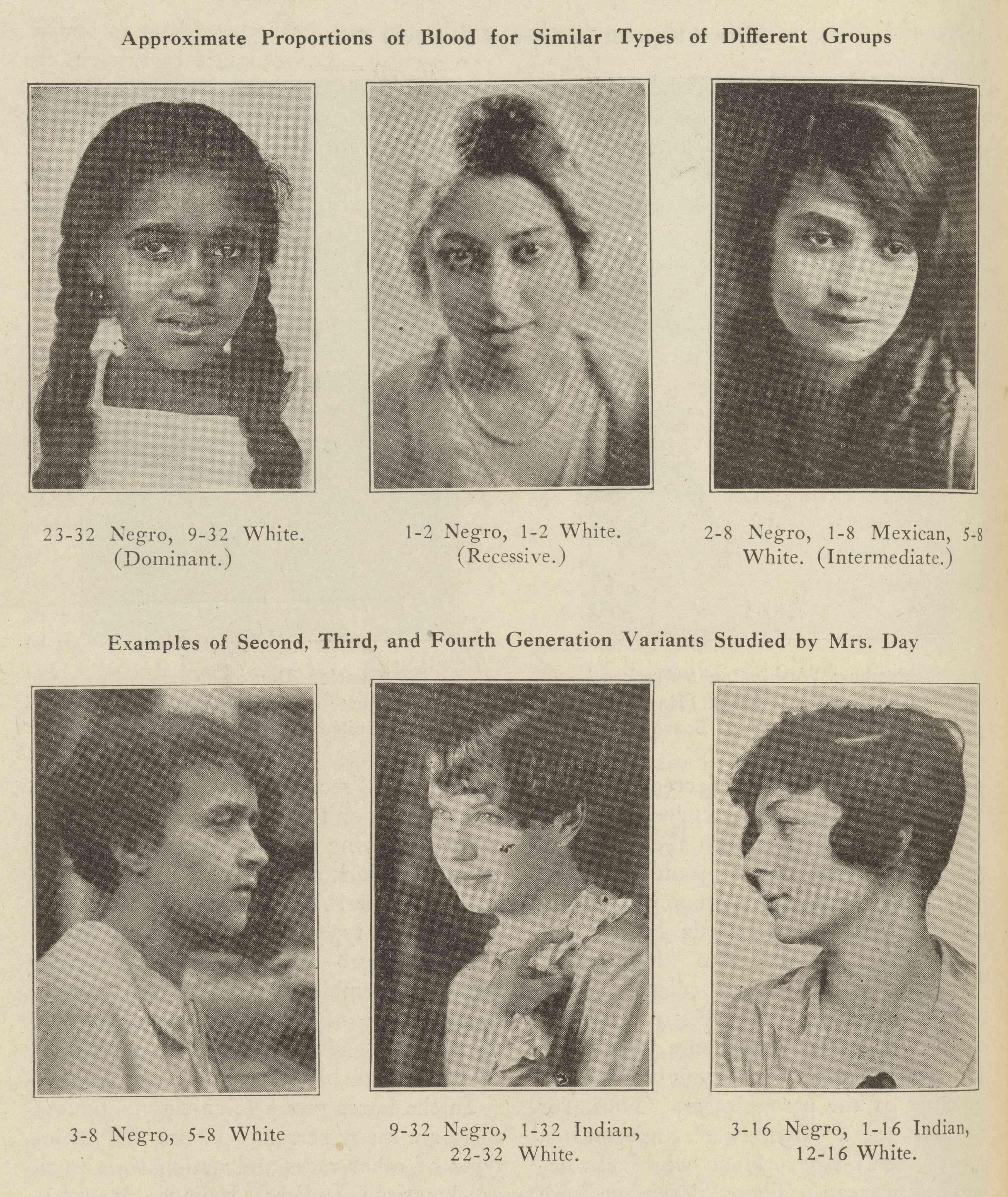 A page from Day's research